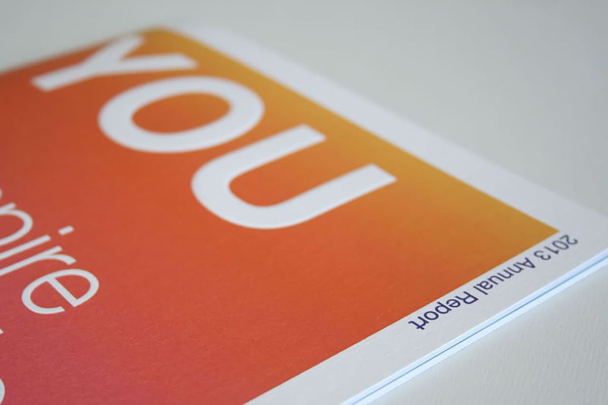 AAPF 2013 Annual Report