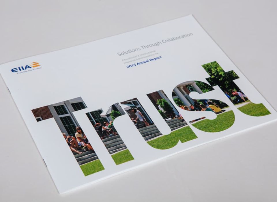EIIA Annual Report 2015 - Trust